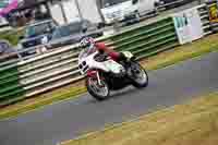 Vintage-motorcycle-club;eventdigitalimages;mallory-park;mallory-park-trackday-photographs;no-limits-trackdays;peter-wileman-photography;trackday-digital-images;trackday-photos;vmcc-festival-1000-bikes-photographs